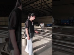 SS 304 Staafgebaseerde Continue Sleuf Wigdraadfilter