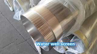 SS304 8-5/8" waterputscherm met BSPT mannelijke en vrouwelijke schroefdraad